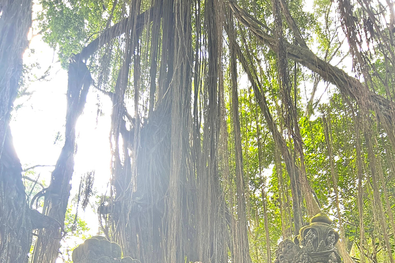 Ubud Waterfall, Temple, Rice Terrace & Art with Transfers