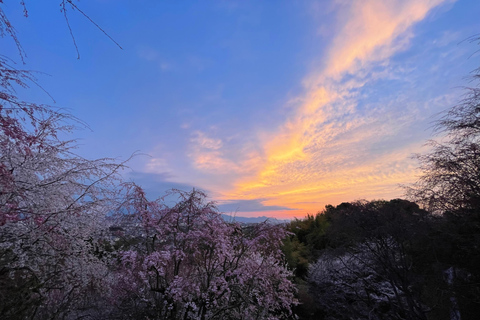 Asuka: Discover Origin of Japan–Historical Site and Nature