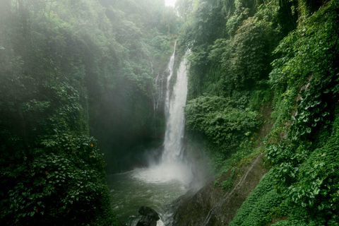 Bali : Ultimate Waterfall Tour (All Inclusive & Private)