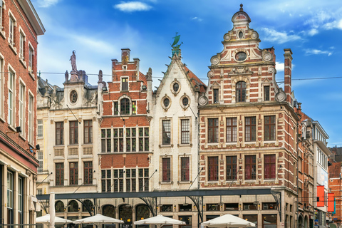 Leuven: Express Walk with a Local in 60 minutes 60 min - Private Tour