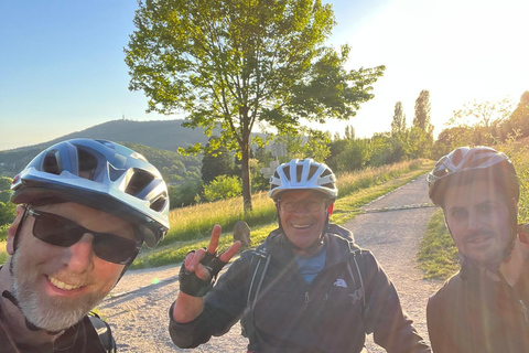 Baden-Baden: Private e-Mountainbike Tour with local Guide