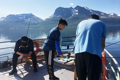 Tromsø: Crucero por el Fiordo de las Aves Silvestres con Comida y BebidasDesde Tromsø: crucero fauna en fiordos con comida y bebida