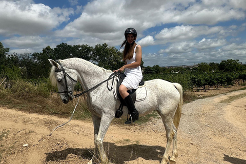 Alicante: przejażdżka konna po górach Maigmó, piknik i transferAlicante: Wycieczka konna na górę Maigmó, piknik i transfer