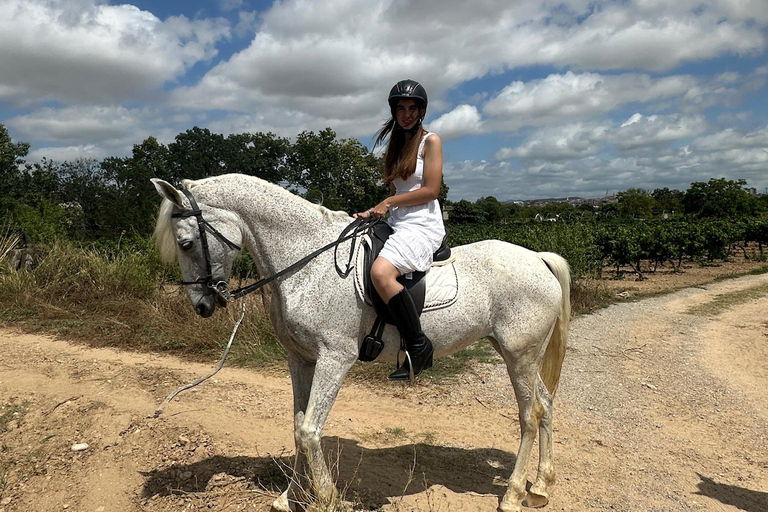 Alicante: przejażdżka konna po górach Maigmó, piknik i transferAlicante: Wycieczka konna na górę Maigmó, piknik i transfer