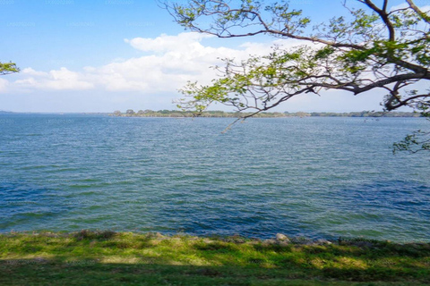 Polonnaruwa to Anuradhapura Transfer with Sightseeing Stops