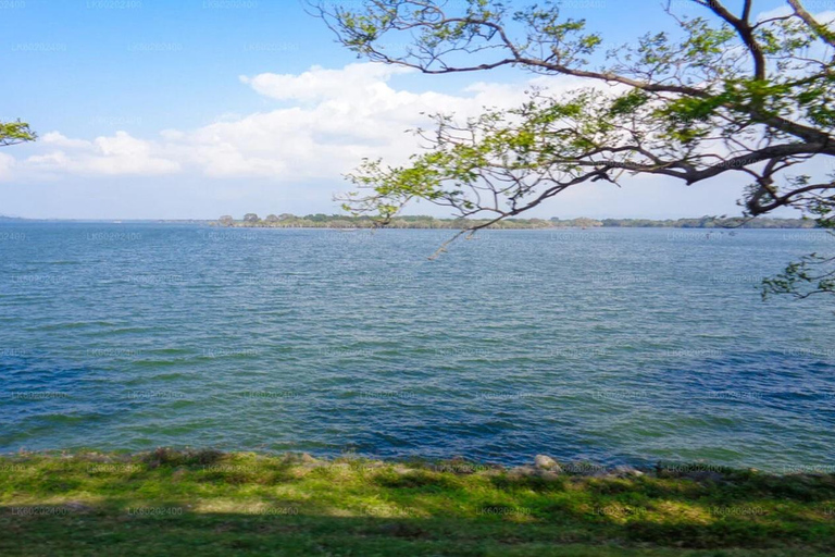 Polonnaruwa to Anuradhapura Transfer with Sightseeing Stops