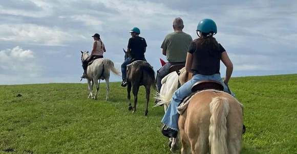 Lessinia: guided horseback ride through nature near Verona