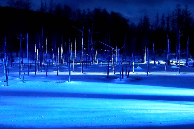 【Winter-Only】 Blue Pond Illumination & Ningle Terrace Tour Sapporo Tv Tower 1F Information Center Departure