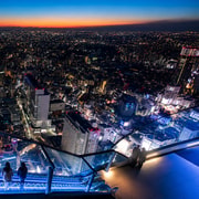 Tokyo: Shibuya Sky Sunset or Night View & Walking Tour