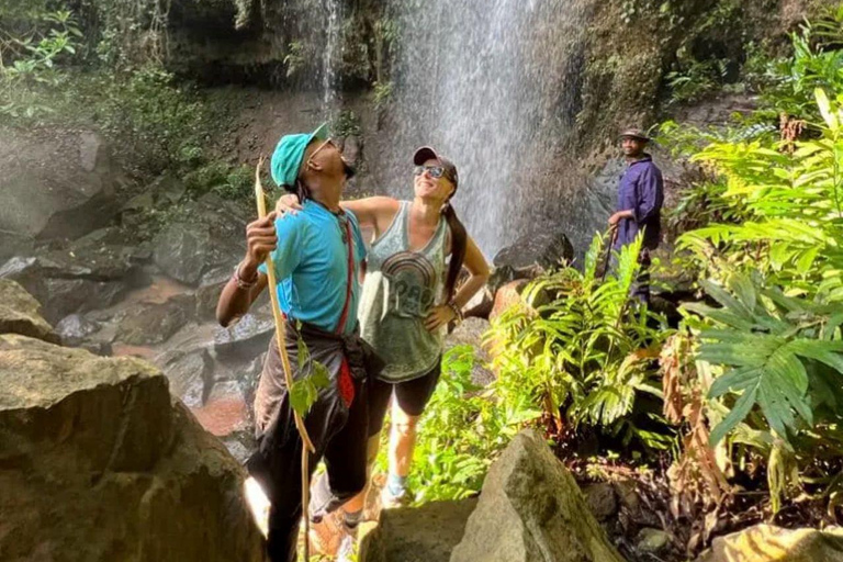 Diani: Guided day trip to Shimba Hills Reserve with lunch