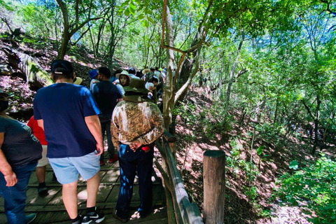 Tour &quot;Bioparque Estrella&quot;, com traslado, safári e ingressosMonterrey: Aventura de safári no Bioparque Estrella