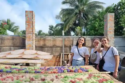 Mekong Delta 2 Days 1 Night - Shared Tour
