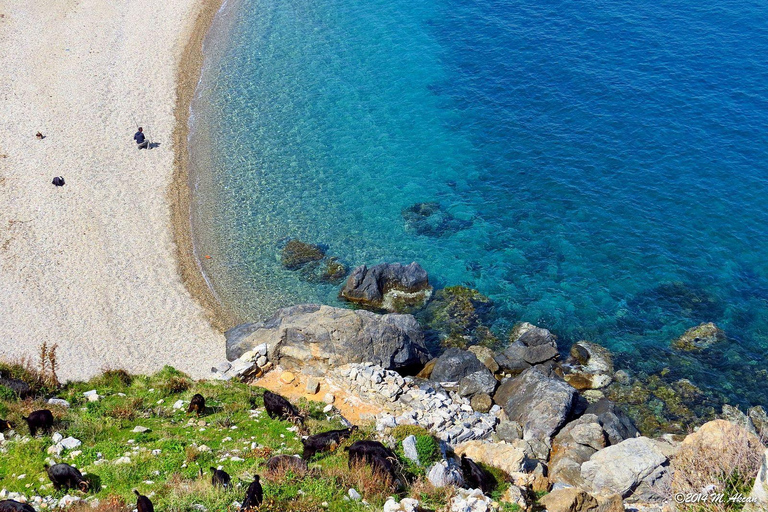 Alanya&Anamur: Flight+Ancient Tour+Lunch+Transfer+3 Passes Alanya & Anamur: All-Inclusive Package – No Extra Payments
