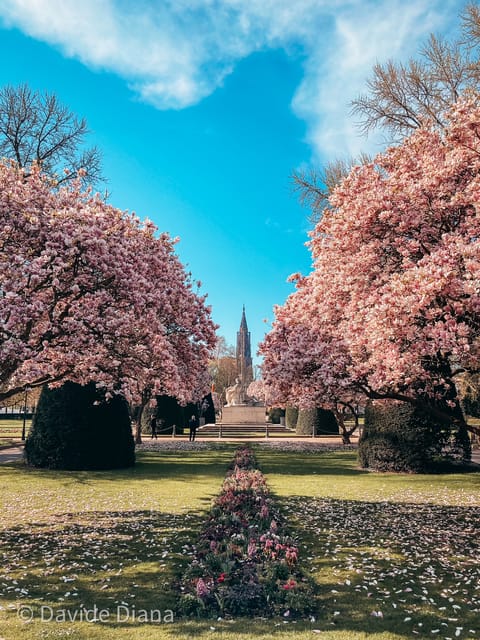 Estrasburgo Visita guiada a pie por los barrios históricos GetYourGuide