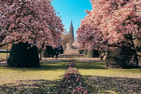 Strasbourg: Guided Historical Neighborhoods Walking Tour