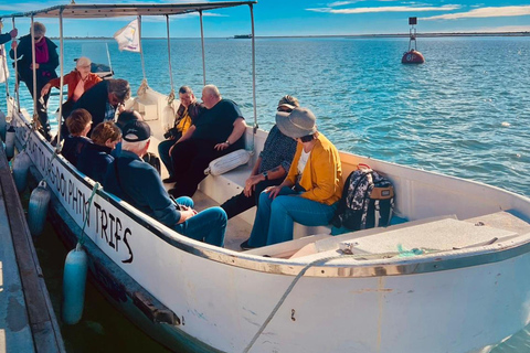 Algarve: Open Jeep Adventure, Flamingos & Ria Formosa Trip