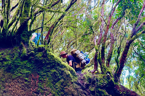Tenerife: Anaga Hidden Gems Tour with Free Pickup Explore Anaga's hidden gem. Private tour.