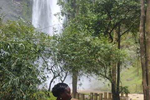 Região de Volta; Santuário de macacos de Tafi Atome e cascata de Wli ...