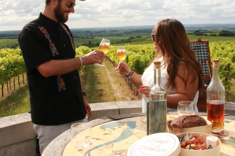 Privé rondleiding Dag in het hart van de Cognac wijngaarden