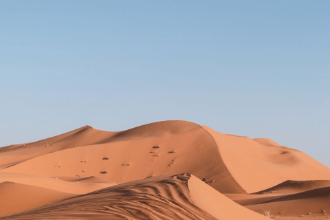 من فاس: رحلة ذهاب وعودة لمدة يومين عبر صحراء مرزوقة وركوب الجمالخيار الجولة المشتركة