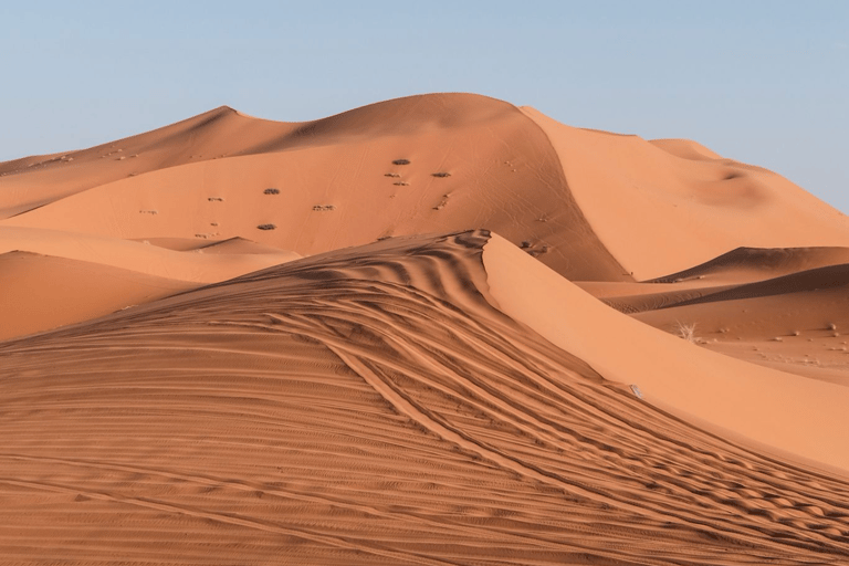 من فاس: رحلة ذهاب وعودة لمدة يومين عبر صحراء مرزوقة وركوب الجمالخيار الجولة المشتركة