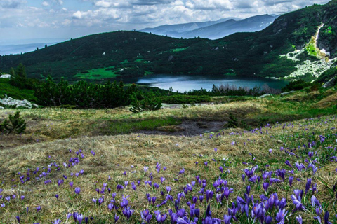 Plovdiv: Seven Rila Lakes Guided tour