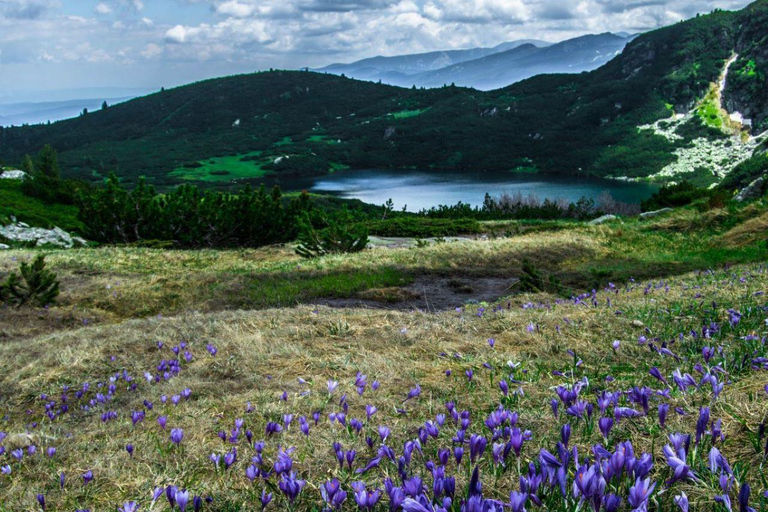 Plovdiv: Seven Rila Lakes Guided tour