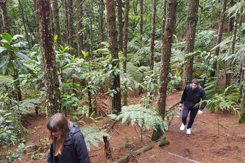 Medellin: Amazing Arvi Natural Reserve