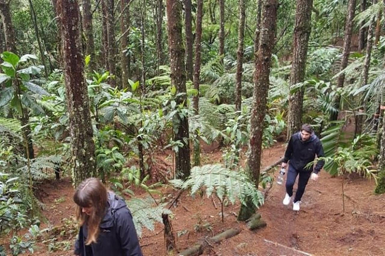 Medellin: Amazing Arvi Natural Reserve