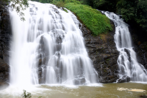 From Bangalore: 7 Days Coorg & Hassan Heritage Private Tour