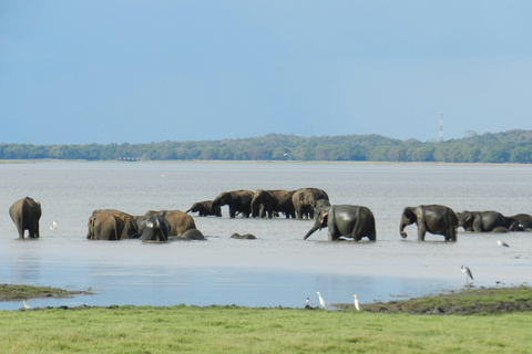 7 Days in Sri Lanka: Private Luxury Honeymoon Tour