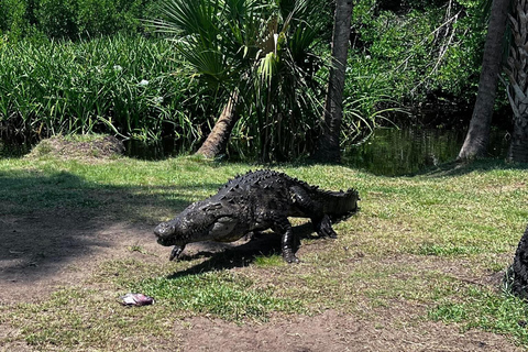 Desde Huatulco: Excursión Ecológica Cocodrilos y TortugasServicio Privado en Vehículo Avanza