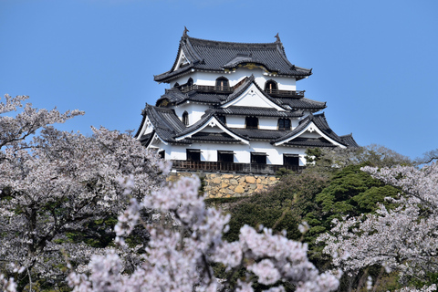 Kyoto: Lake Biwa Cruise, Chikubu Island, & Hikone Castle