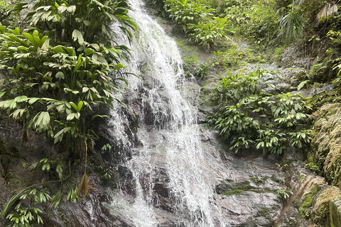 Minca: Coffee Farm and Hidden Waterfall Tour with Lunch