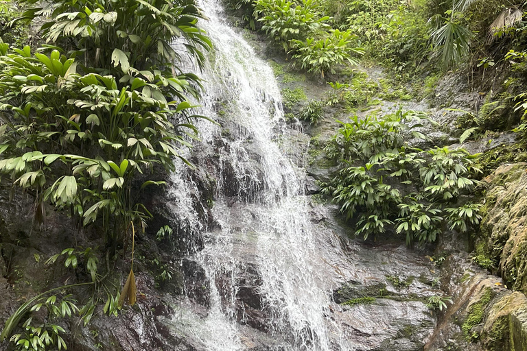 Minca: Coffee Farm and Hidden Waterfall Tour with Lunch