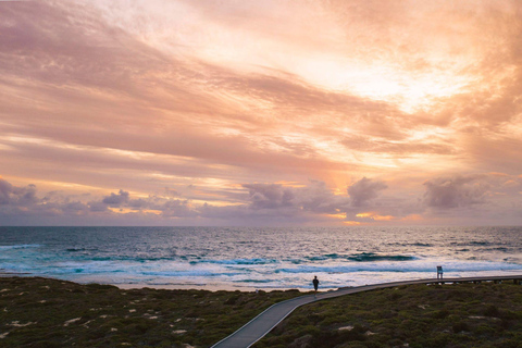 Rottnest Island Seals, Sunset & West End Bus Tour