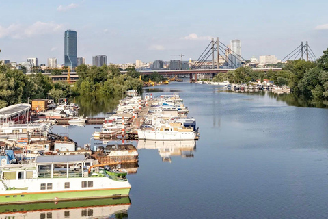 Belgrade Rivers: Panorama Cruise Tour on Sava & Danube