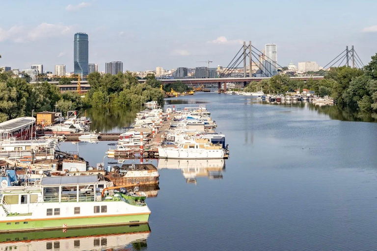 Belgrade Rivers: Panorama Cruise Tour on Sava & Danube