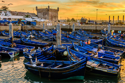 Essaouira Day Trip from Marrakech: Medina & Atlantic Coast Shared Marrakesh to Essaouira Day Trip & Cooperative visit