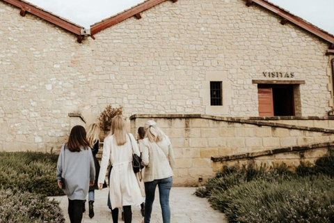 La Rioja: visita guidata alla cantina CVNE e degustazione di vini