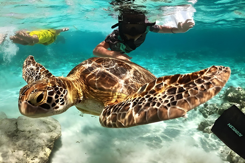 Lombok: Snorklingsresa (Gili Trawangan, Meno &amp; Gili Air)