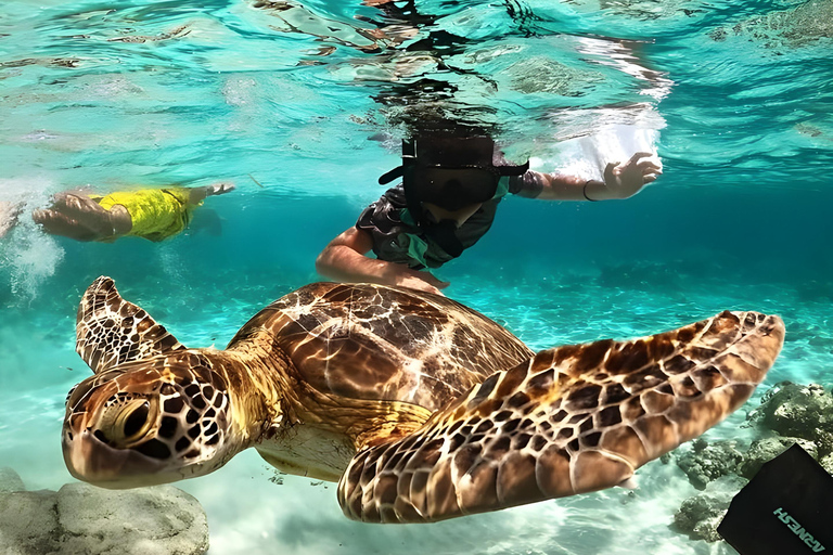 Lombok : Snorkeling Trip (Gili Trawangan, Meno & Gili Air)