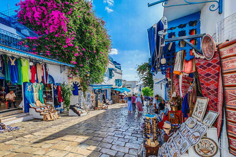 Tunis :VIP Tour – Medina,Carthage&Sidi BouSaid,All-Inclusive