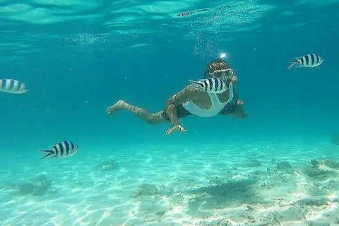 From Mombasa: Kisite Marine Park Dhow Cruise & Snorkeling