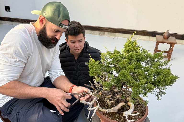 Nagoya: Private Bonsai Workshop with Master Ajisawa Masterpiece Bonsai Experience (1 hour)