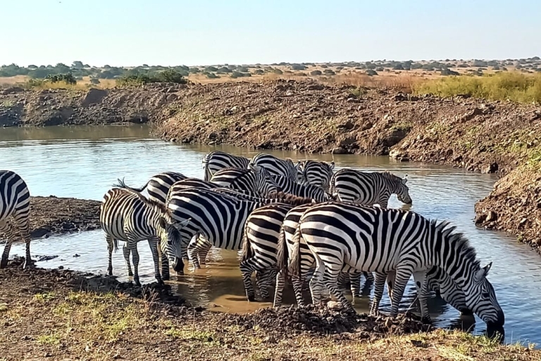 Nairobi Nationalpark: Gemeinsame oder private HalbtagestourNairobi Nationalpark: Halbtägige Gruppentour mit Abholung