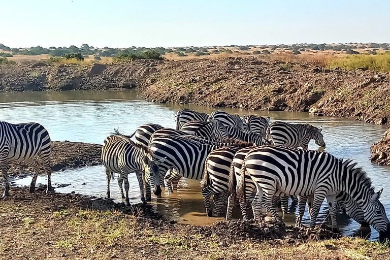 Nairobi Nationalpark: Gemeinsame oder private HalbtagestourNairobi Nationalpark: Halbtägige Gruppentour mit Abholung