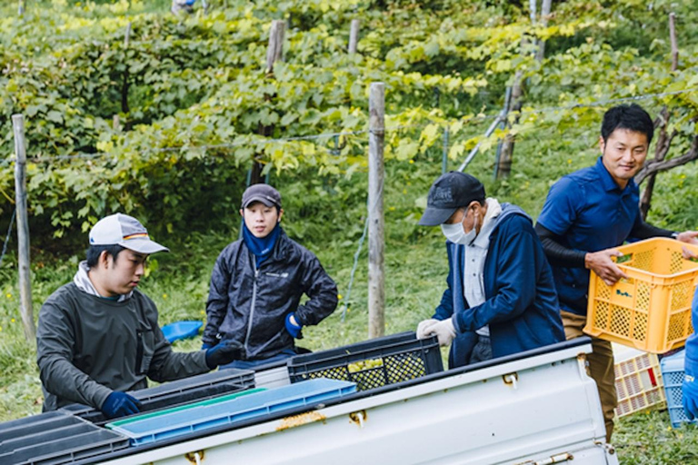 Hokkaido: Libera Wine Terrace Tasting Experience