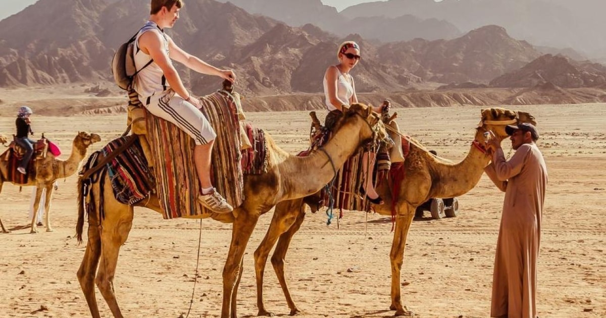Sharm: ATV, Camel Ride, BBQ Dinner & Show w Private Transfer | GetYourGuide