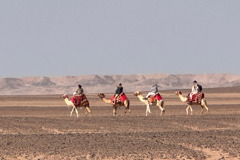 Hurghada: Camel Ride & horse ride and Off-Road Jeep Tour pickup from hotels inside hurghada
